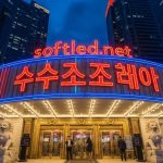 안전한 카지노 및 바카라 사이트 선택 방법